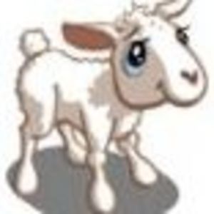 Meet your Posher, Jodie